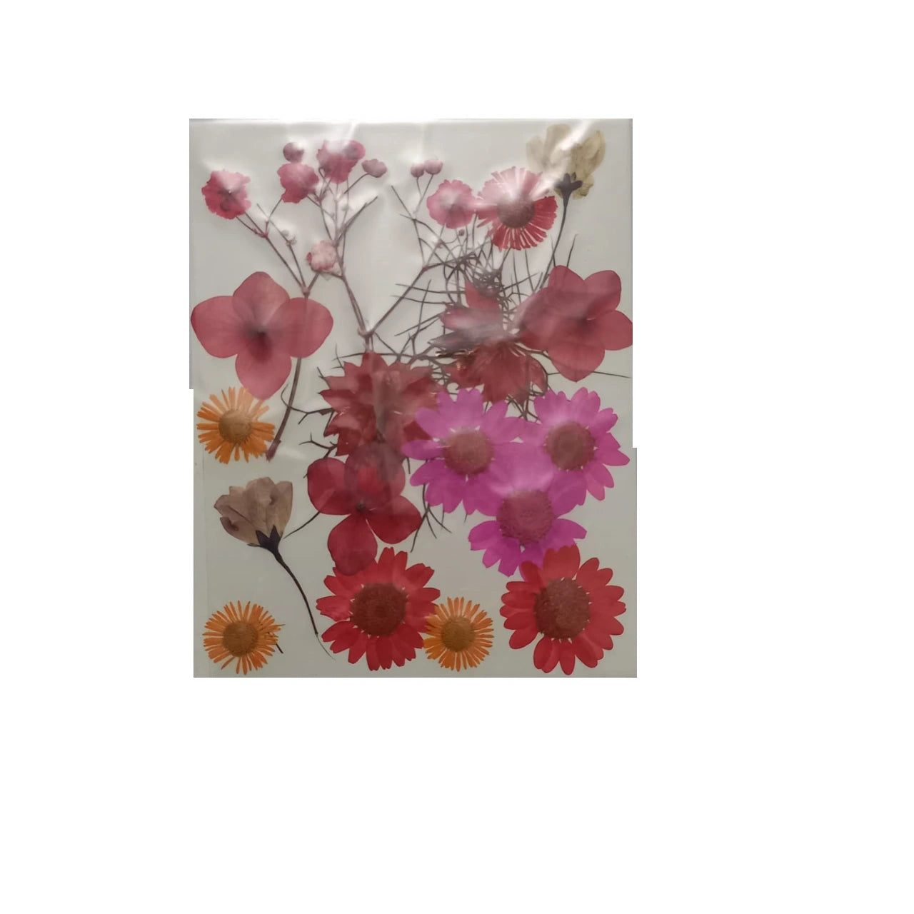 Dried Pressed Flowers for Resin & DIY Crafts - Bulk Dry Leaves for Scrapbooking