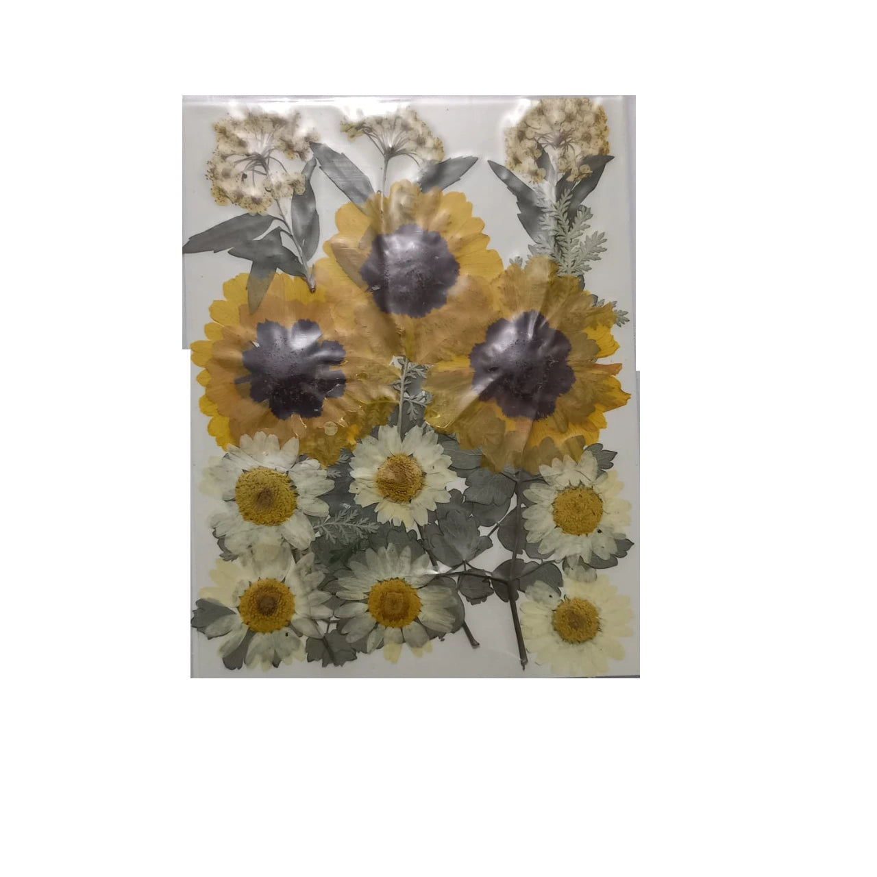 Dried Pressed Flowers for Resin & DIY Crafts - Bulk Dry Leaves for Scrapbooking