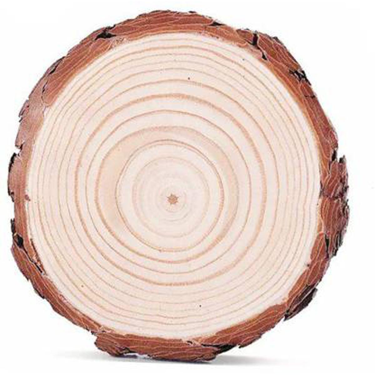 3 / 7 Inches Natural Wooden Log Coaster/Slices with Bark - for DIY Crafts